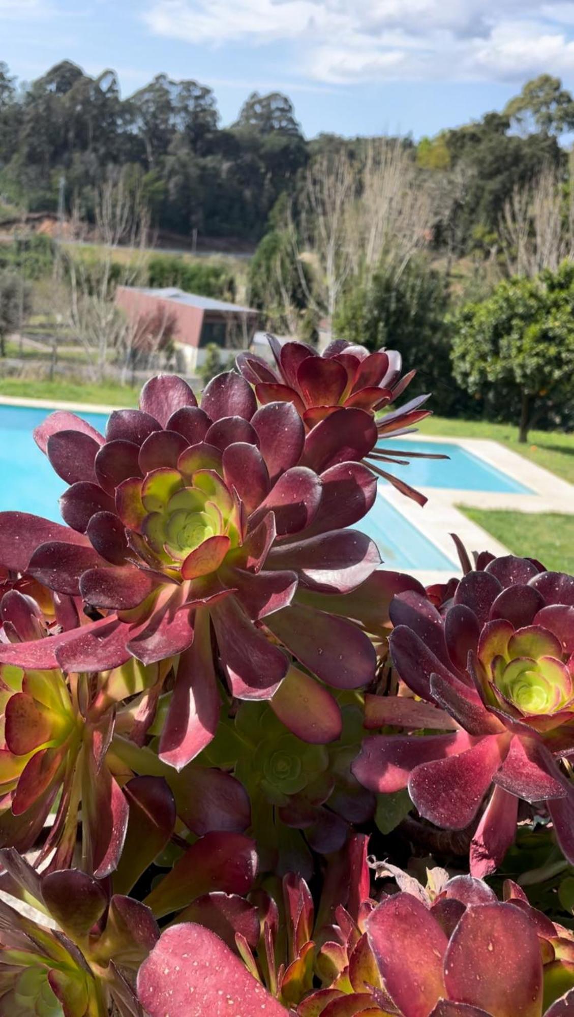 Quinta De Villasete Alpendurada Exterior foto