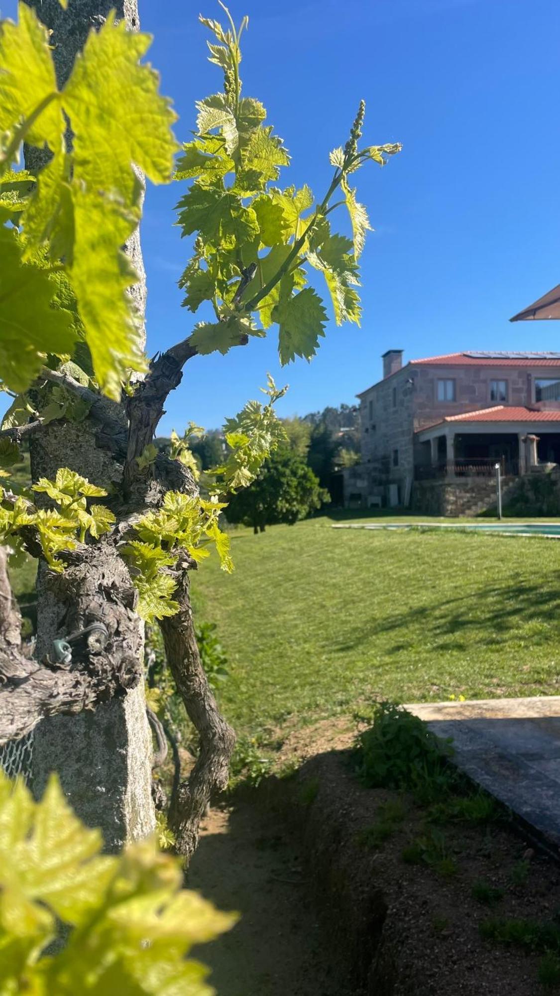 Quinta De Villasete Alpendurada Exterior foto